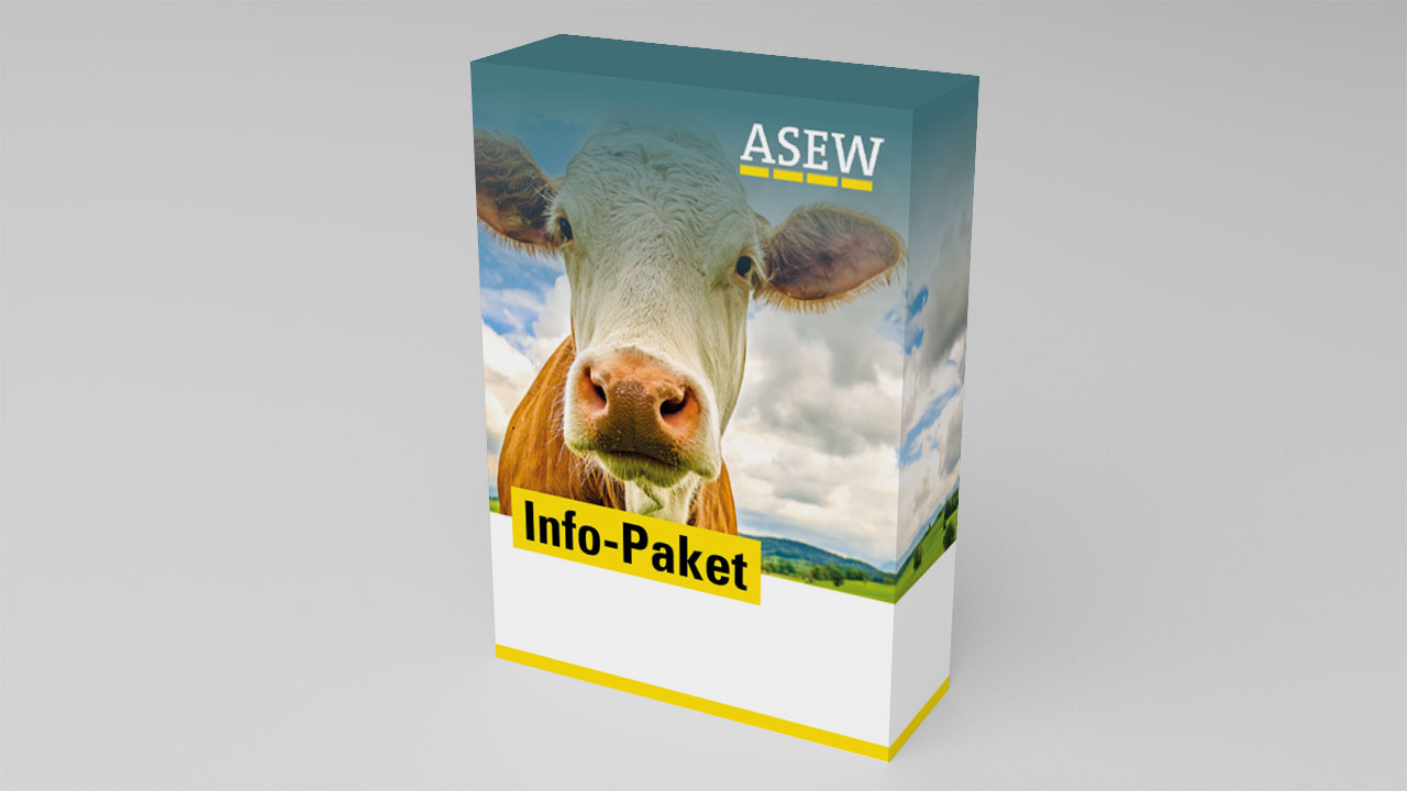 Infopaket GEG-fähige Biomethanprodukte für Stadtwerke