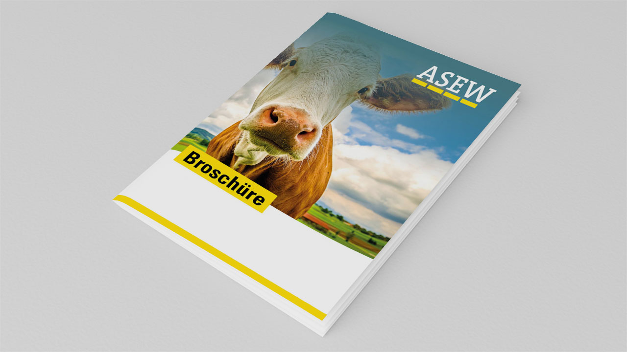 Broschüre Biomethan