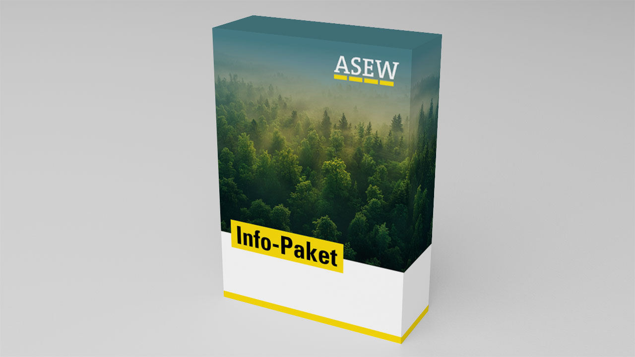 Wald in nebligem Licht